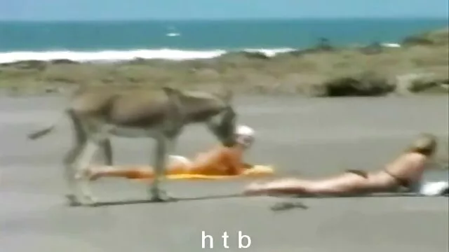 Nóng khiêu dâm, không giấy đăng ký  Cô gái xxx nhật bản hay trong phòng tắm hơi liếm mũ của họ