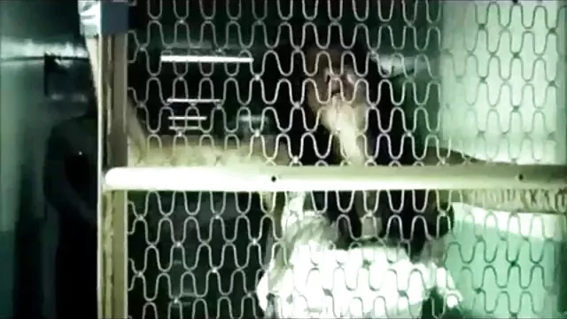 Nóng khiêu dâm, không giấy đăng ký  Chị đẹp sex game show nhật bản với một chàng trai
