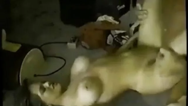 Nóng khiêu dâm, không giấy đăng ký  Người lớn đệm đáp ứng một người xxxn nhat ban da đen